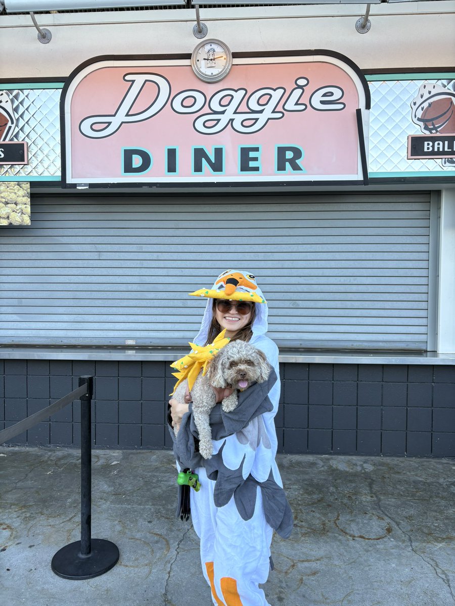 If anyone saw a seagull it was me sorry got hungry and ate some garlic fries like usual