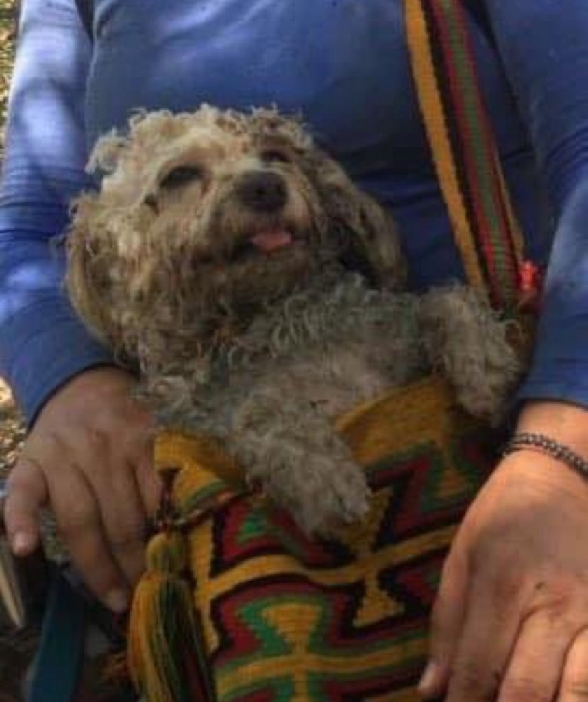 Benjamín Armas Díaz (@benjaminarmas) on Twitter photo 