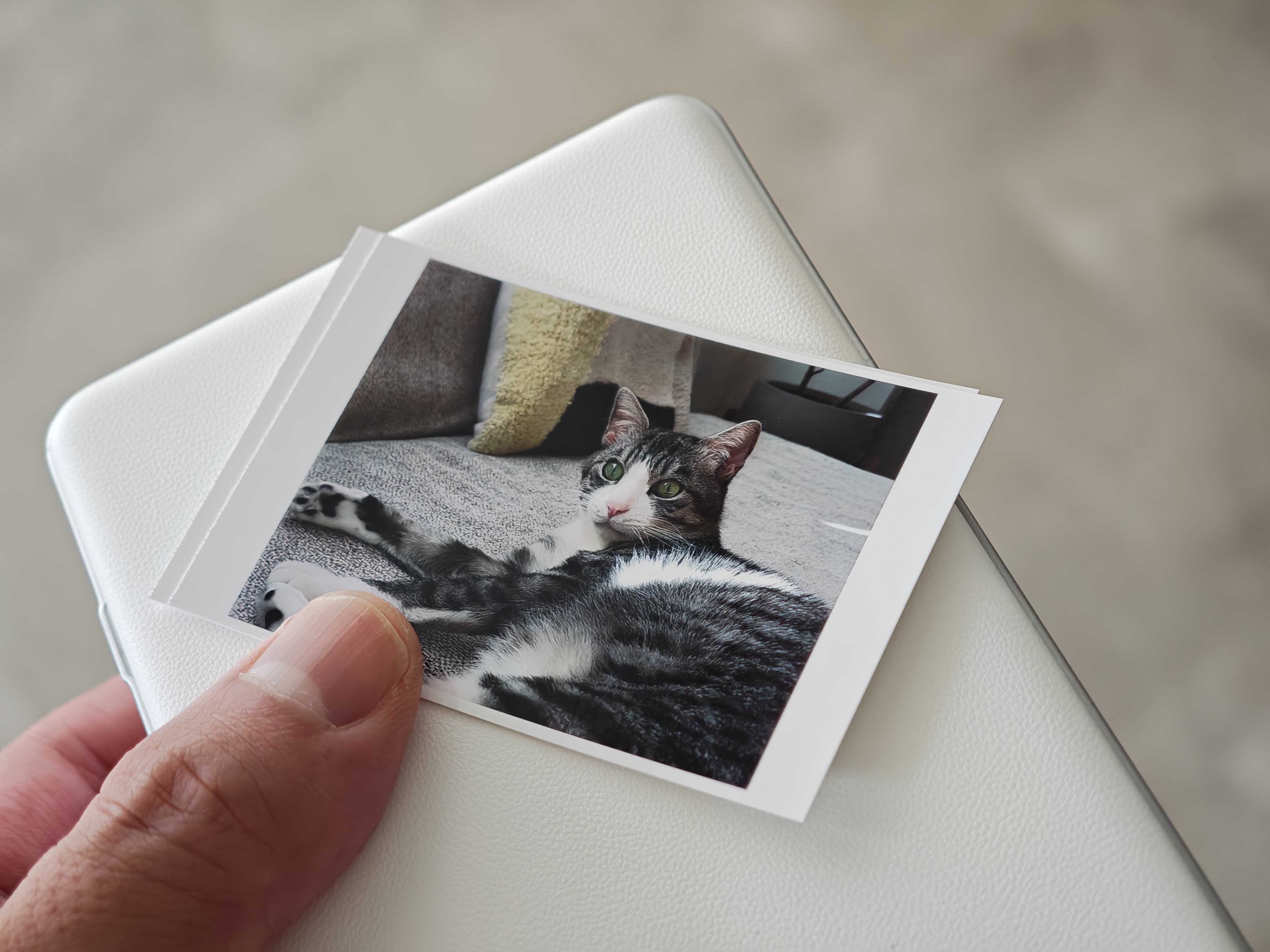 MIX ミックス　フォトプリント フォトプリント MIX ミックス フォトプリント フォトプリント 国内2月5日