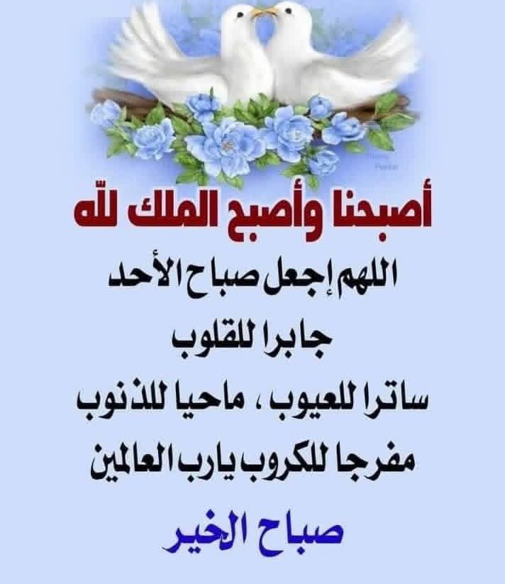 alamero (@amerh4797) on Twitter photo 