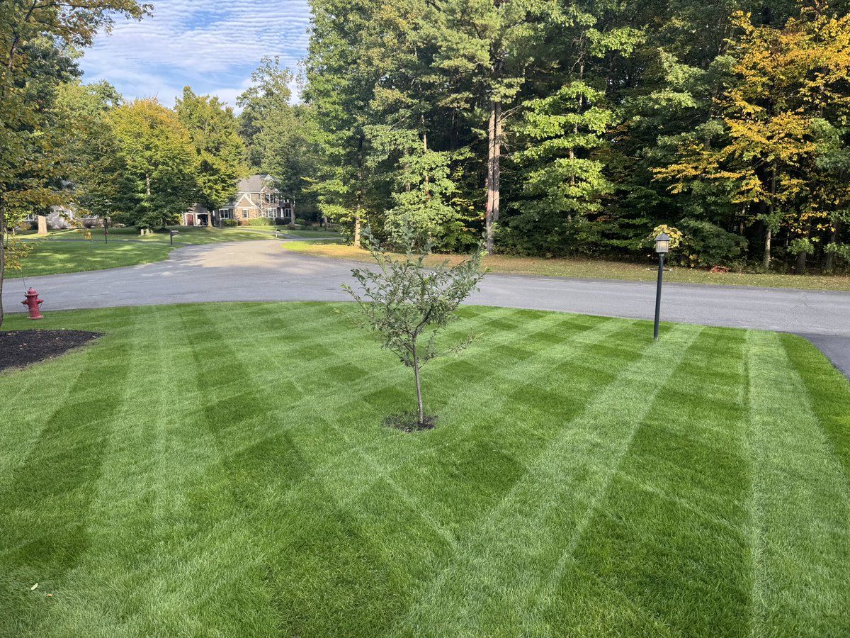 inb4zil's tweet image. flexin’ on the neighbs