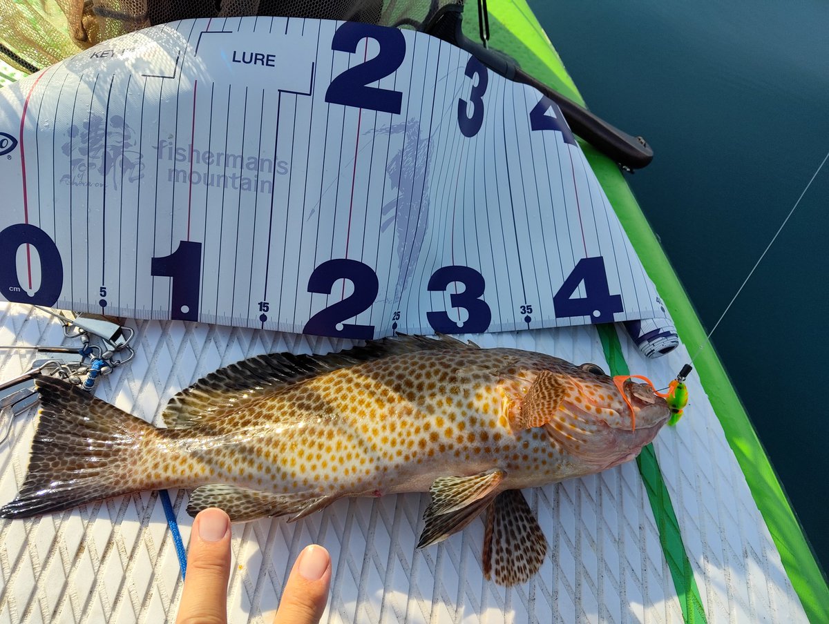 ラグーンの釣り人 tweet media