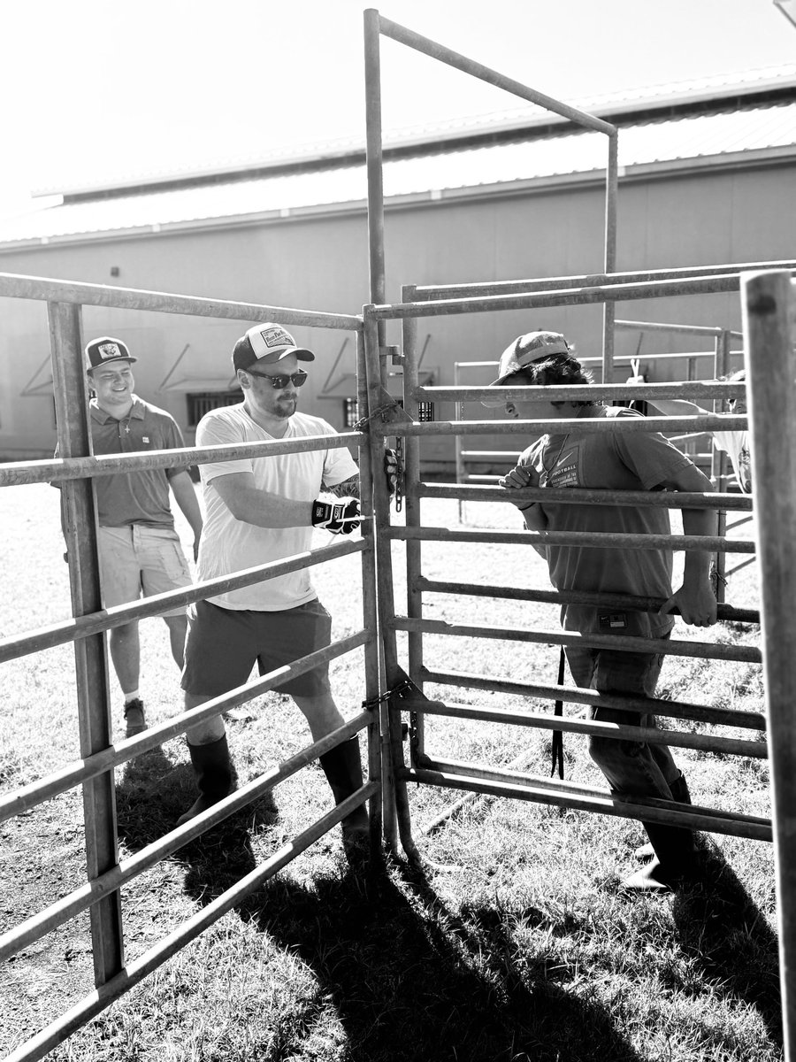 Freeman FFA tweet media