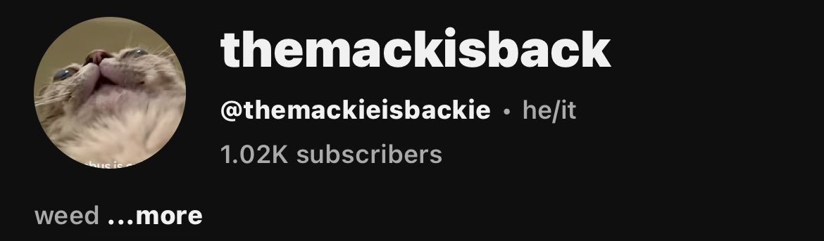 mackback burner tweet media