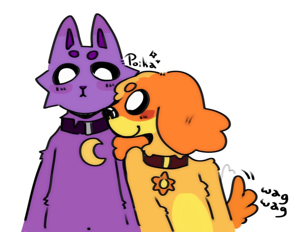 HEYYY!!! Pay attention to me! >:3

#Dogday #Catnap