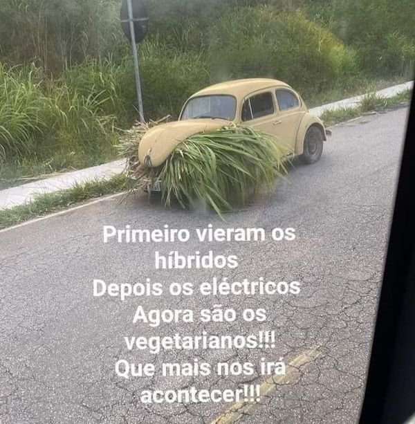 perolasbroxada's tweet photo. É ele https://t.co/Tbxw9BBVfE