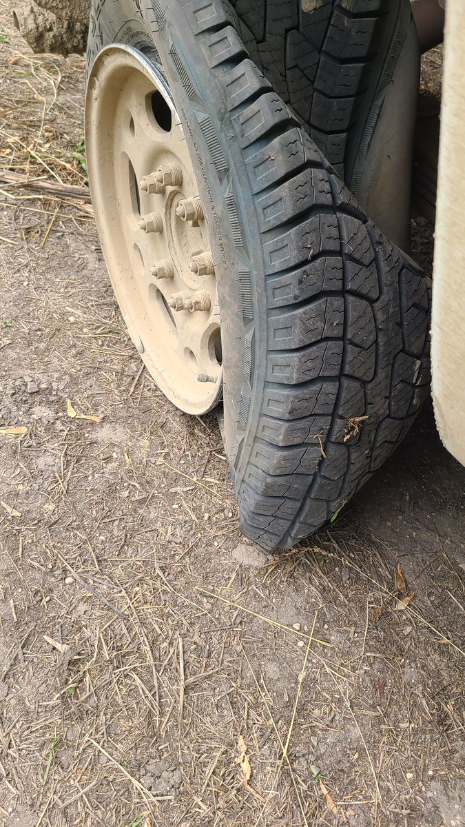 Judi Watt tweet media