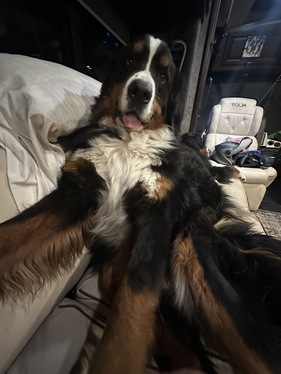 MikeChritton's tweet image. 