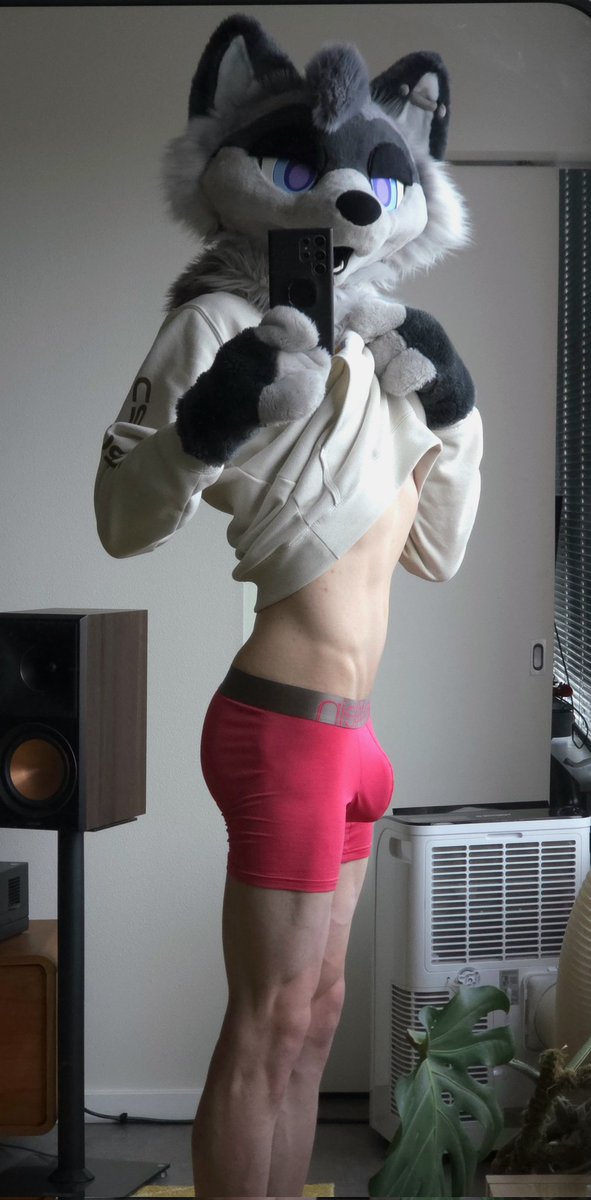 What's your favorite 🦝 angle?