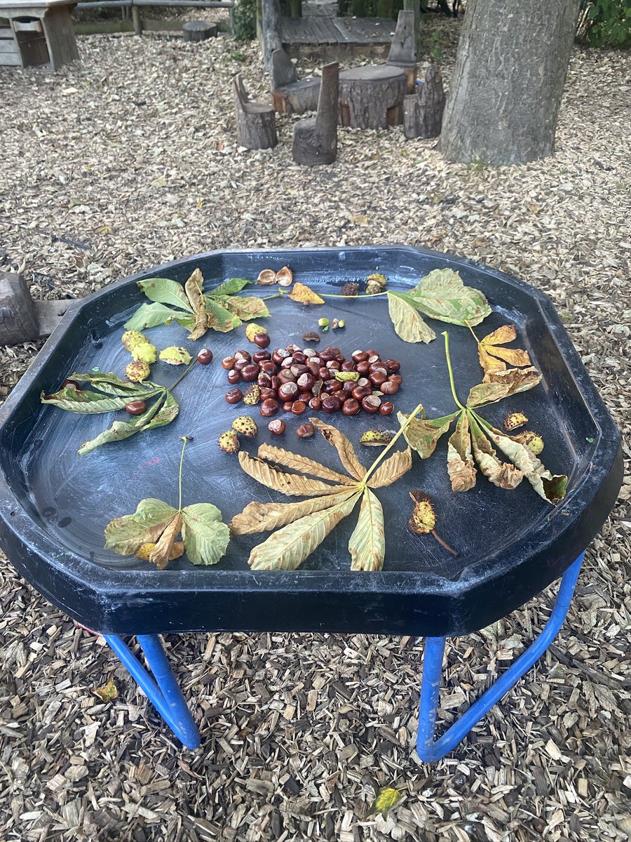 Autumn is in full swing 🍂