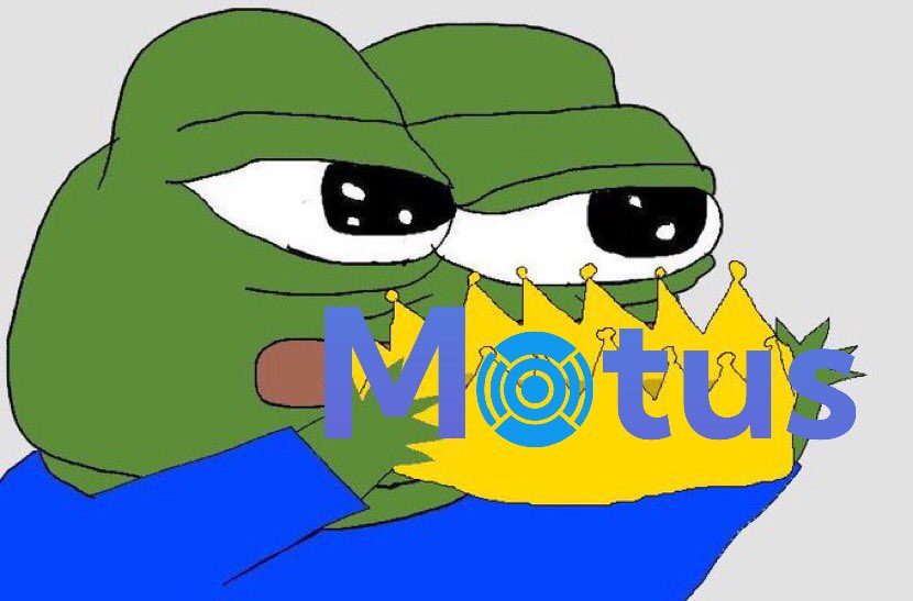 Motus tweet media