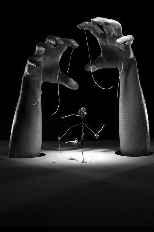 Mr. Pool tweet media