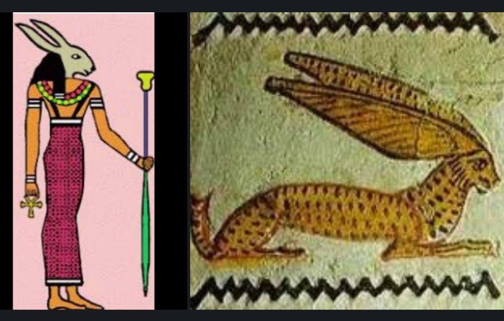 antinousgaygod's tweet photo. 🪷 The hare glyph "wn" means "to exist". The hare goddess Wenut/Unut was revered with Thoth/Hermes at #Hermopolis across the Nile from #Antinoopolis. Originally depicted as a snake the "swift one". Later she had a goddess' body with a hare/rabbit head. #InternationalRabbitDay. 🪷 https://t.co/ay1h8GAGpU