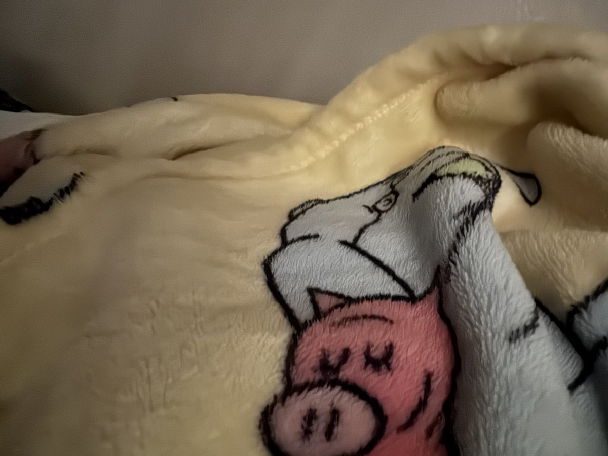 Sharla - SPN Junkie AustinCon2024ππ (@bookbosss2012) on Twitter photo when youβve been hit with a fever-induced migraine and just wanna rage because you found out something thatβs basically a personal attack on your existence... you just curl up with Elephant and Piggie and pretend youβre a hibernating bear when youβve been hit with a fever-induced migraine and just wanna rage because you found out something thatβs basically a personal attack on your existence... you just curl up with Elephant and Piggie and pretend youβre a hibernating bear