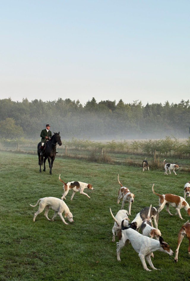 Prep Propaganda 👔 (@prep_propaganda) on Twitter photo 