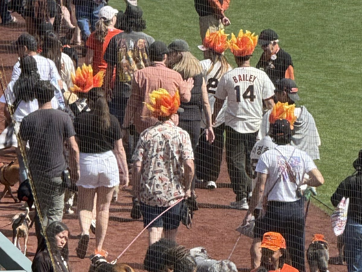 경기장에 다시 나타난 후리건즈~