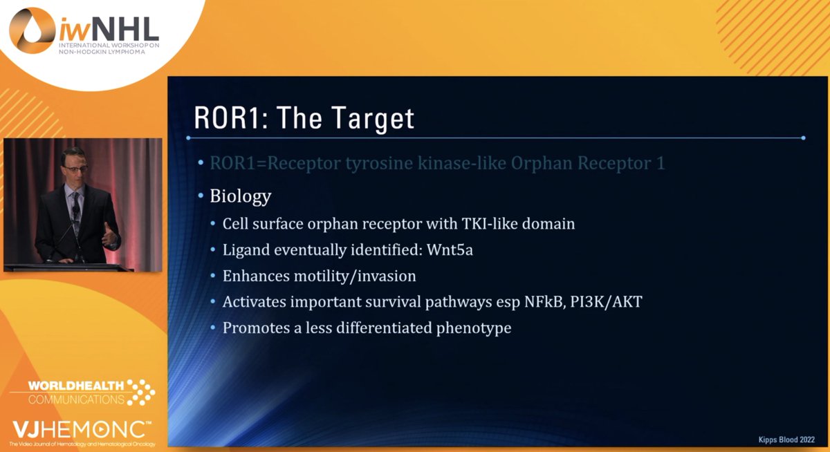 VJHemOnc's tweet photo. 💡 At #iwNHL25, Philippe Armand will spotlight zilovertamab combinations and their potential impact #NHL
#iwNHL #ROR1 #Lymphoma #Lymsm https://t.co/4EuYO4p9m1