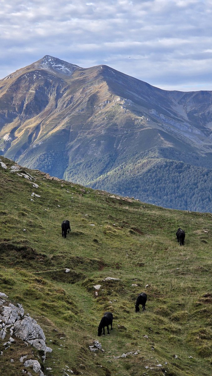 Si te fijas ves esos caminos donde los pastores vivieron muchas historias.