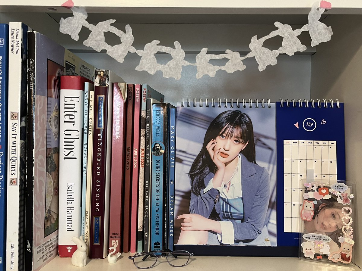 iIovesulli's tweet photo. i lov this shelf https://t.co/iTkUGdq2Sd