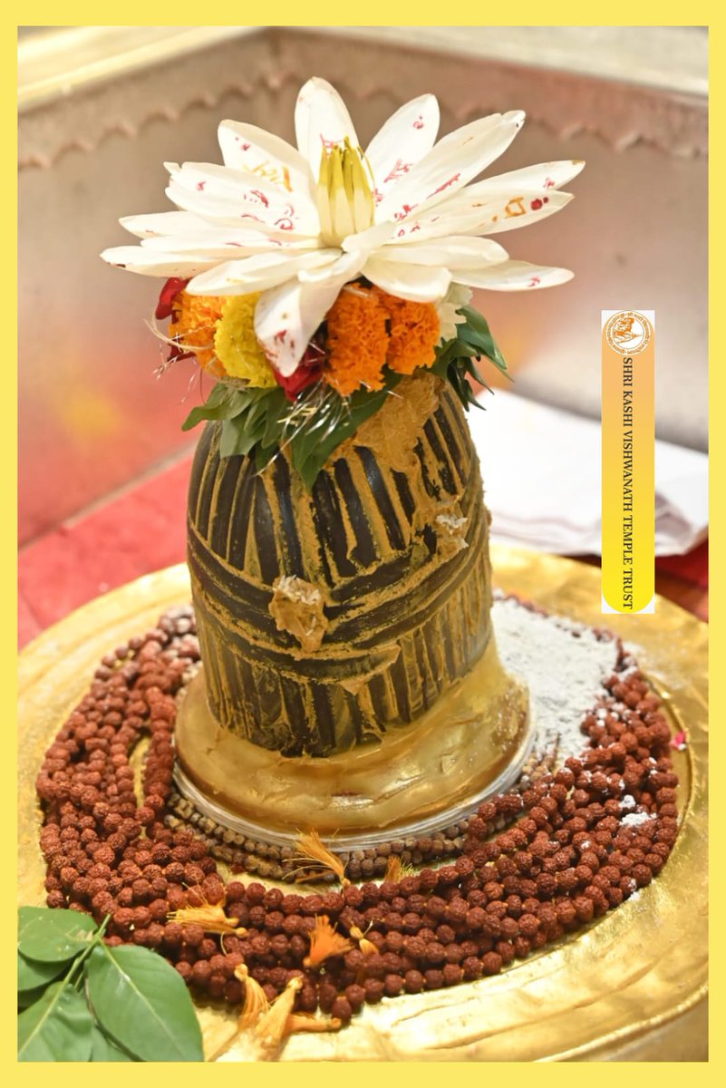 ShriVishwanath's tweet image. आज श्री काशी विश्वनाथ जी की श्रृंगार आरती I
#kashivishwanath #kashi #sanatandharma #banaras