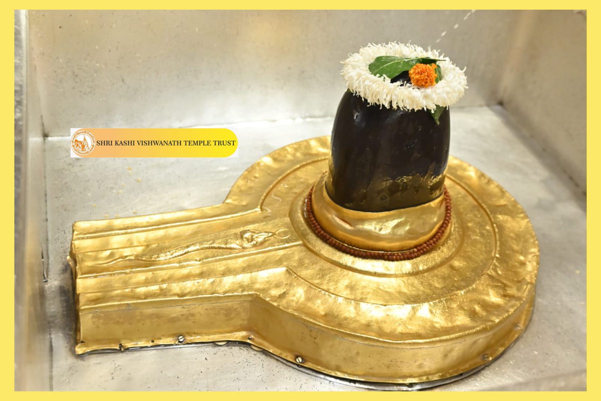 ShriVishwanath's tweet image. आज श्री काशी विश्वनाथ जी की श्रृंगार आरती I
#kashivishwanath #kashi #sanatandharma #banaras