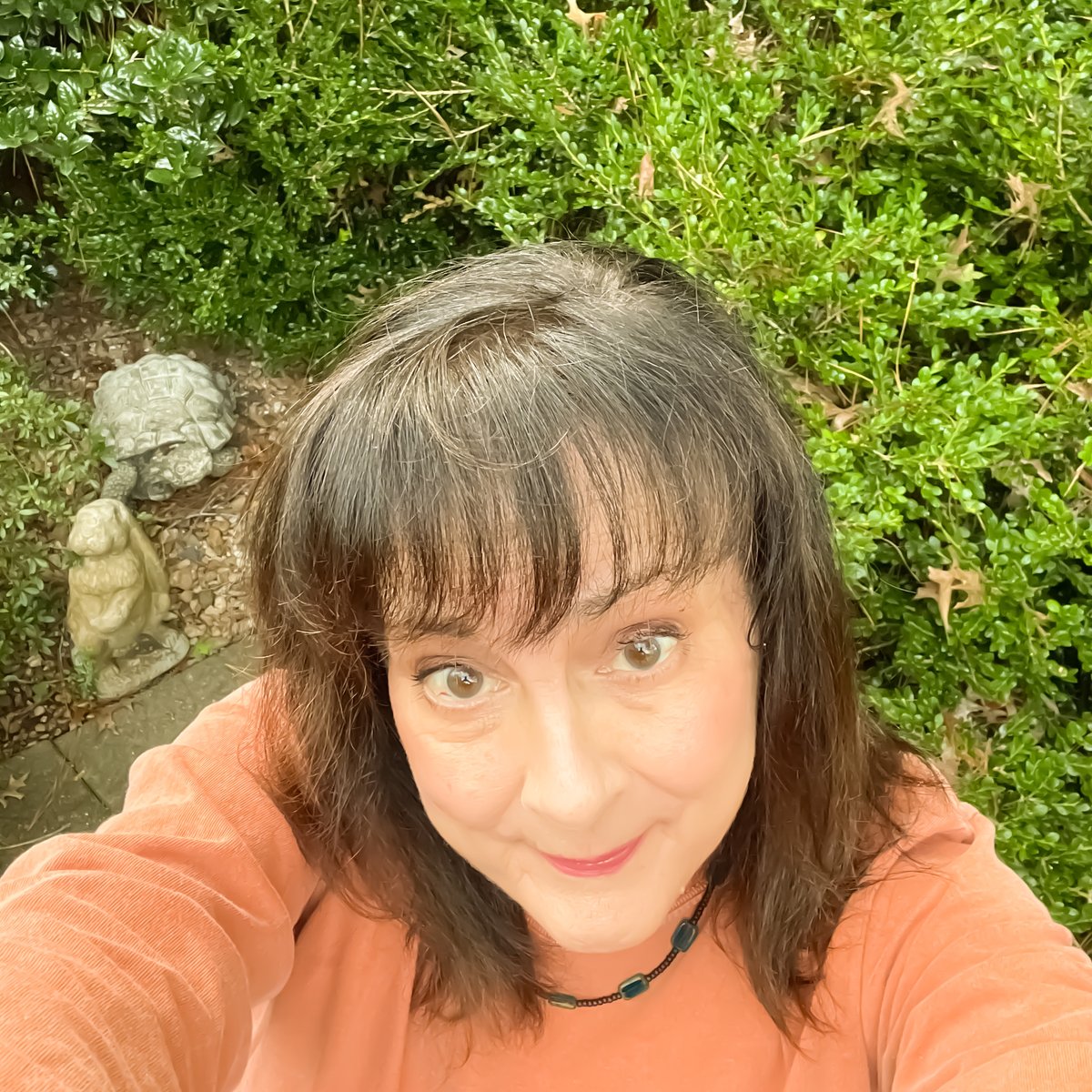 Finding Butterflies® (@_butterflymusic) on Twitter photo Post rehearsal photo with the tortoise and the hare for no particular reason. 🐢🐇 #tortoise #hare #nature #musicianlife #weekendvibes #rehearsal #iloverehearsal #noparticularreason Post rehearsal photo with the tortoise and the hare for no particular reason. 🐢🐇 #tortoise #hare #nature #musicianlife #weekendvibes #rehearsal #iloverehearsal #noparticularreason