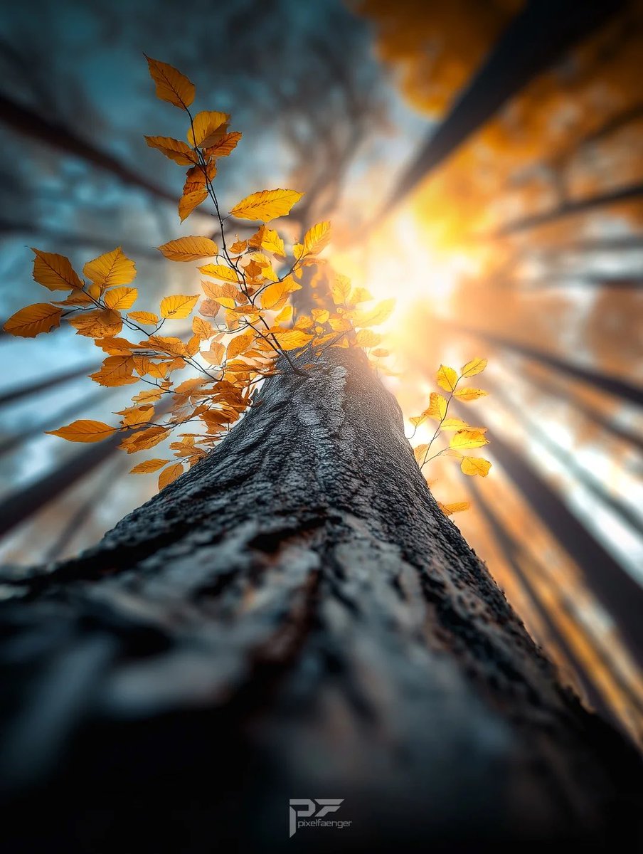 ꕤ 𝓚𝓪𝓷𝓼𝓪𝓼 𓂃 𓈒ꕤ tweet media