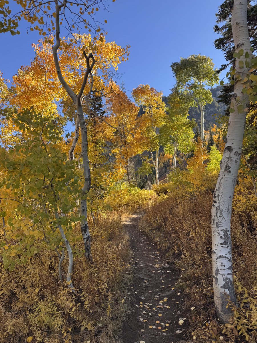 JasonSynaptic's tweet image. Happy 1 year anniversary @NutritionNerd! Back where it started @Snowbird