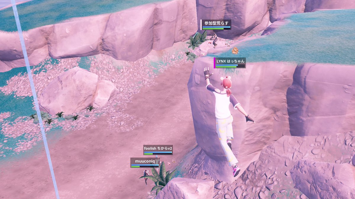 Delulu最初から最後までソロでビクロイした
立ち回り上手い