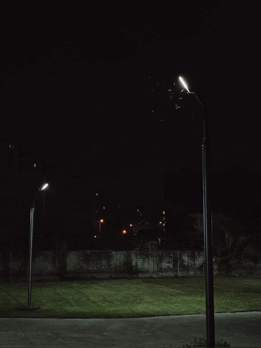 In the quiet darkness, we are all just moths drawn to the one light that makes us feel less alone.