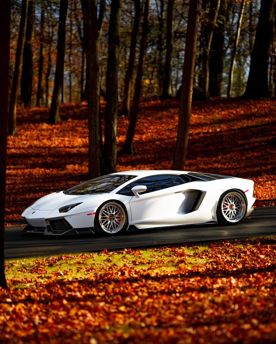 Autumn colors look better with a little Italian flair. 🇮🇹🍂

GET SPONSORED BY SPRINGRATES! Apply today at carsponsors.com/application/