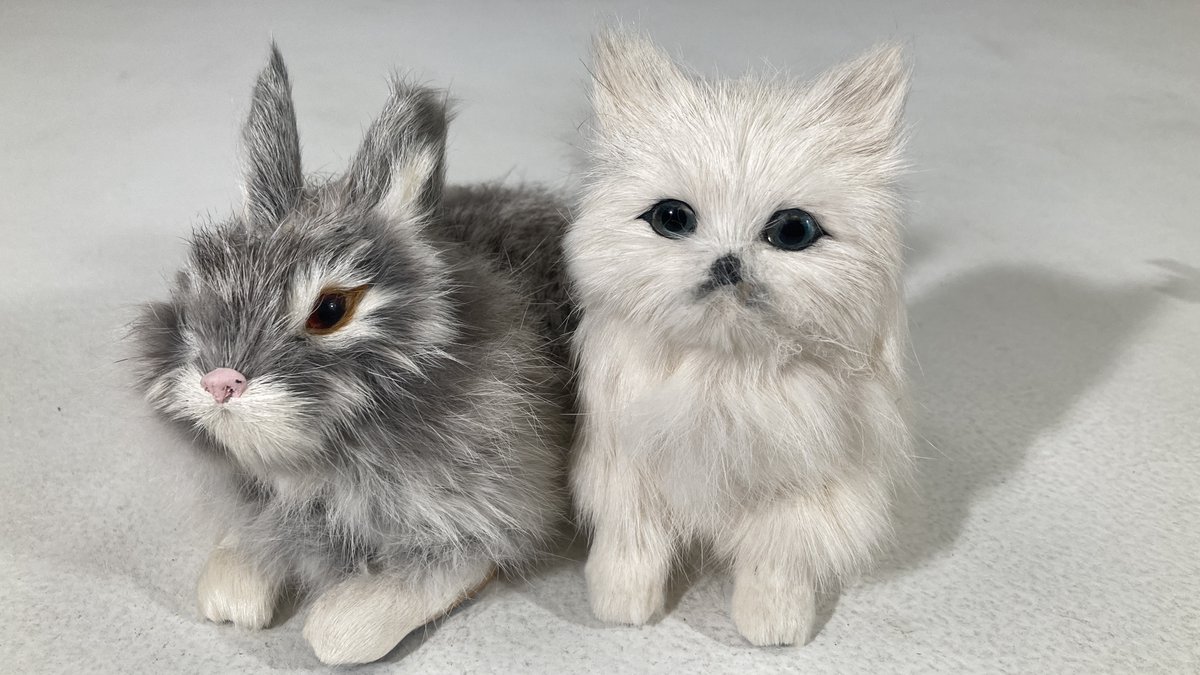 IT CRAWLED FROM THE BINS... Happy #caturday everybody. Note both the rabbit and the cat feature rabbit fur. No actual cat hair was used in this bad taxidermy. I did buy both of these and are in the collection. #goodwill #thriftstorefinds #itcrawledfromthebins