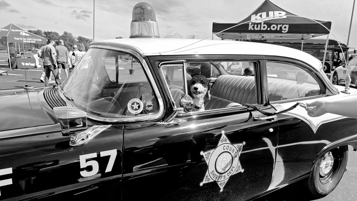 Cleaning up the streets one doggo at a time 🐕🐶🐕