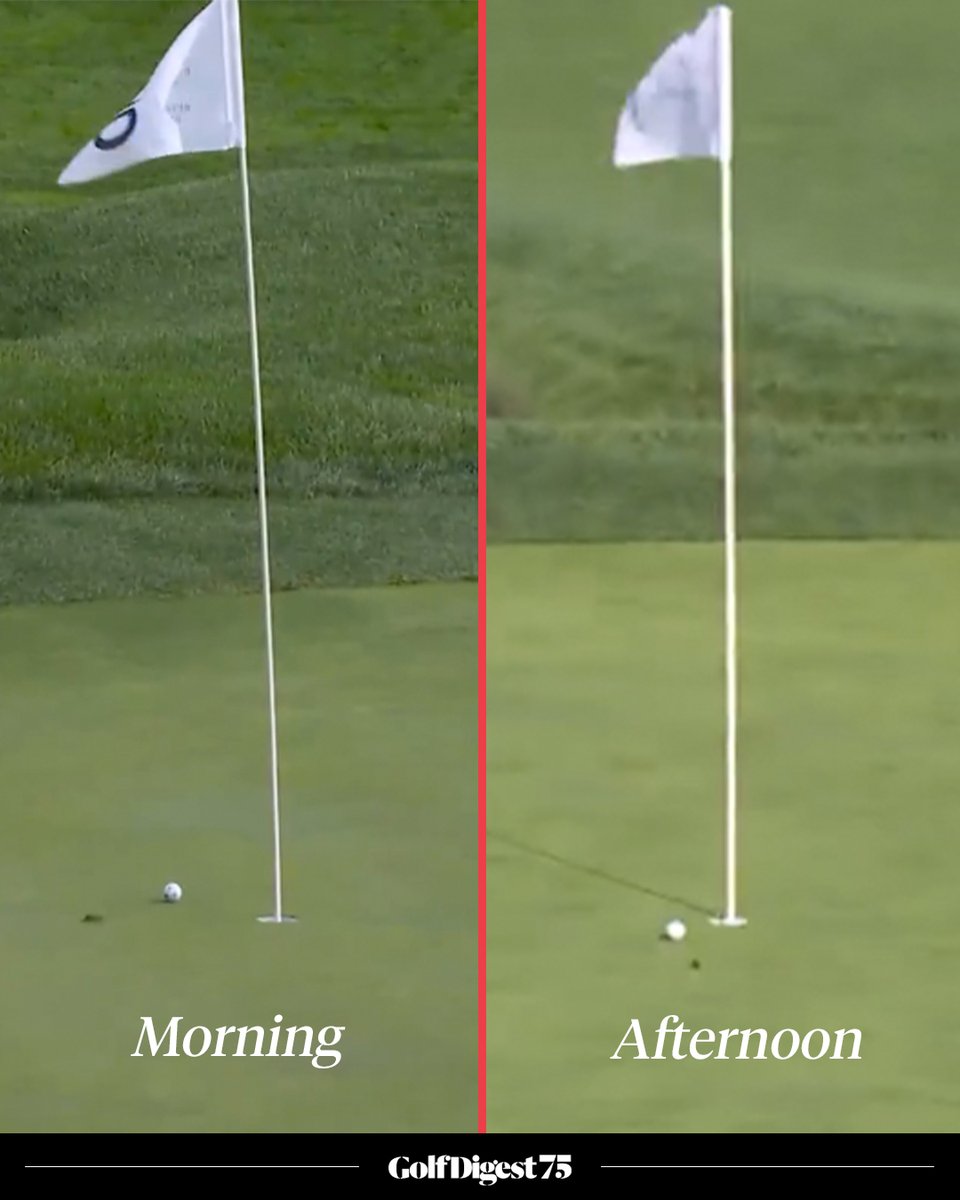 Tommy's approach shots to the 11th hole today. 🤯

Both kick-ins.