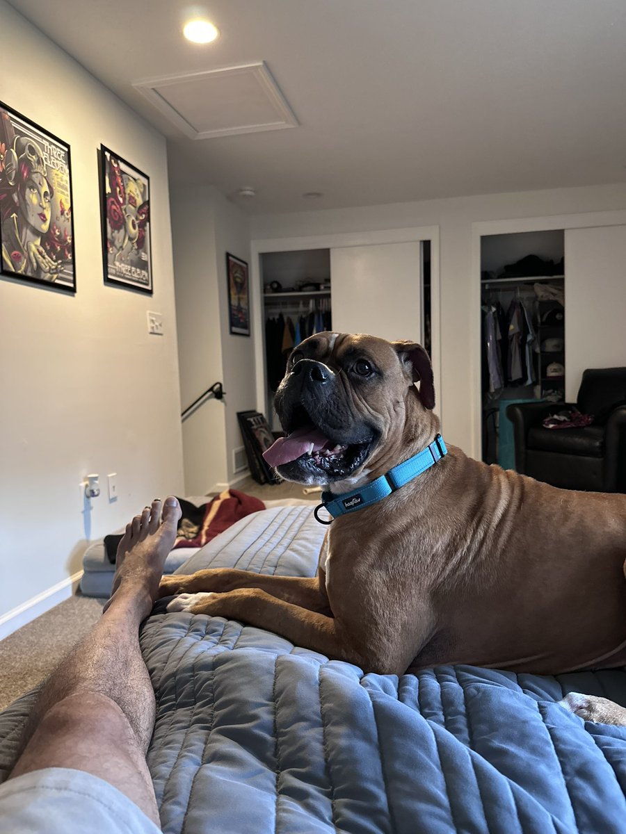 Frazier_Unity's tweet image. Tater is home with me!