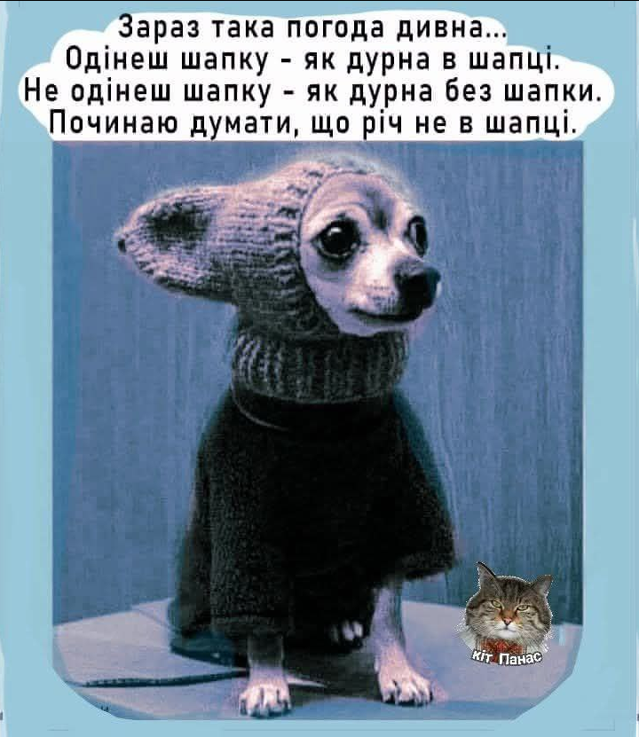 Serhii Svitlychnyi 🇺🇦 (@shmuhadron) on Twitter photo 