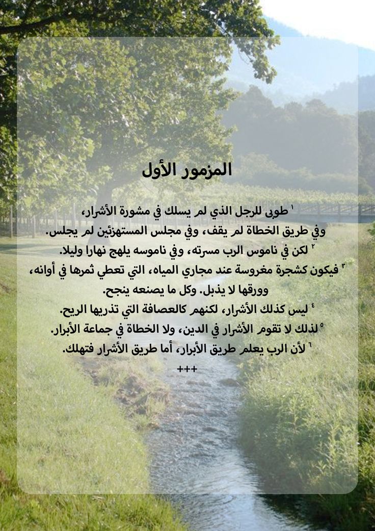"لكِنْ فِي نَامُوسِ الرَّبِّ مَسَرَّتُهُ، وَفِي نَامُوسِهِ يَلْهَجُ نَهَارًا وَلَيْلاً." (مز 1 : 2 ) . 
انا عجبتني الايه دي .. معناها جميل ان فرحتنا و سعادتنا الحقيقيه هي مع ربنا و كلامه و وصاياه  😍 طول ماحنا بعيد عمرنا م هنكون مبسوطين عكس لما نقرب و نخلي كلامه هو دستور حياتنا