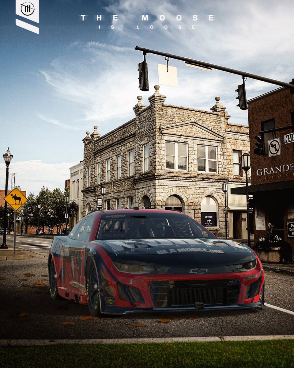Team_Trackspeed's tweet image. WARNING: A Wild Moose Was Spotted At Martinsville Virginia 🫎