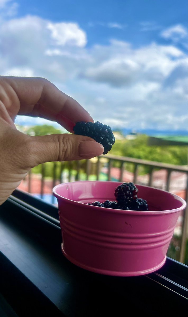 Jennifer Hidalgo V. tweet media