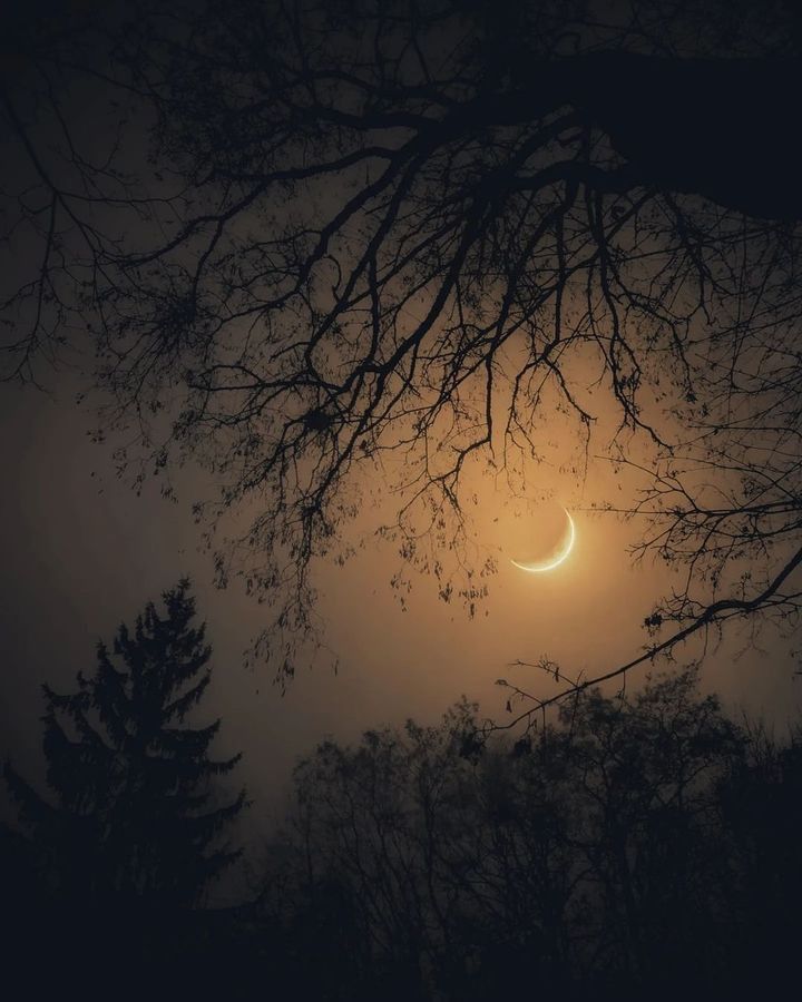 𝔠𝔯𝔢𝔰𝔠𝔢𝔫𝔱 𝔪𝔬𝔬𝔫.