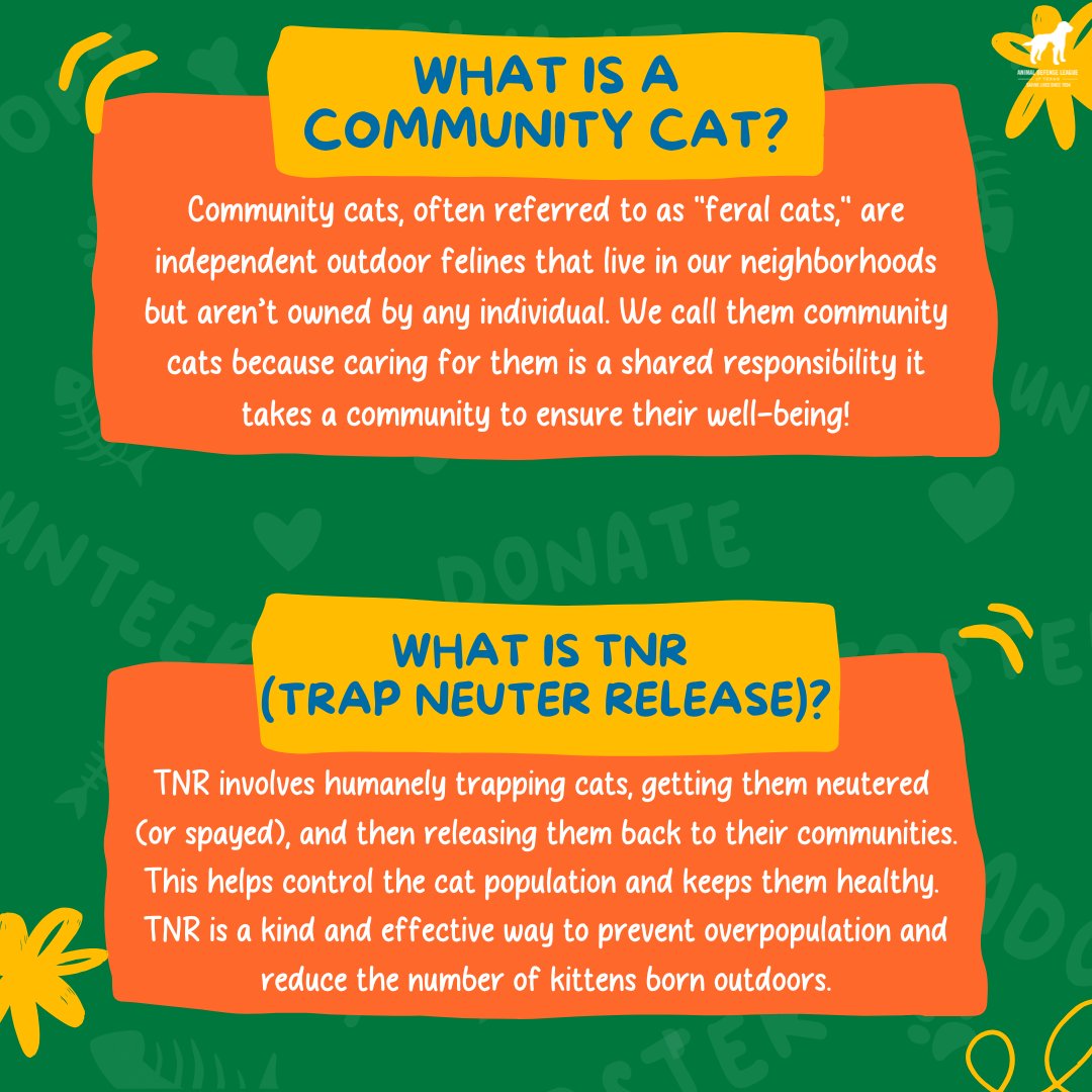 🐱✂️ TNR Saves Lives!

We’re proud to keep offering Trap-Neuter-Return (TNR) surgeries through SAFCC! These spots are offered at cost with just a $25 trapper fee per cat for San Antonio and Bexar County.💛

Learn more and schedule: Adltexas.org/SpayNeuter