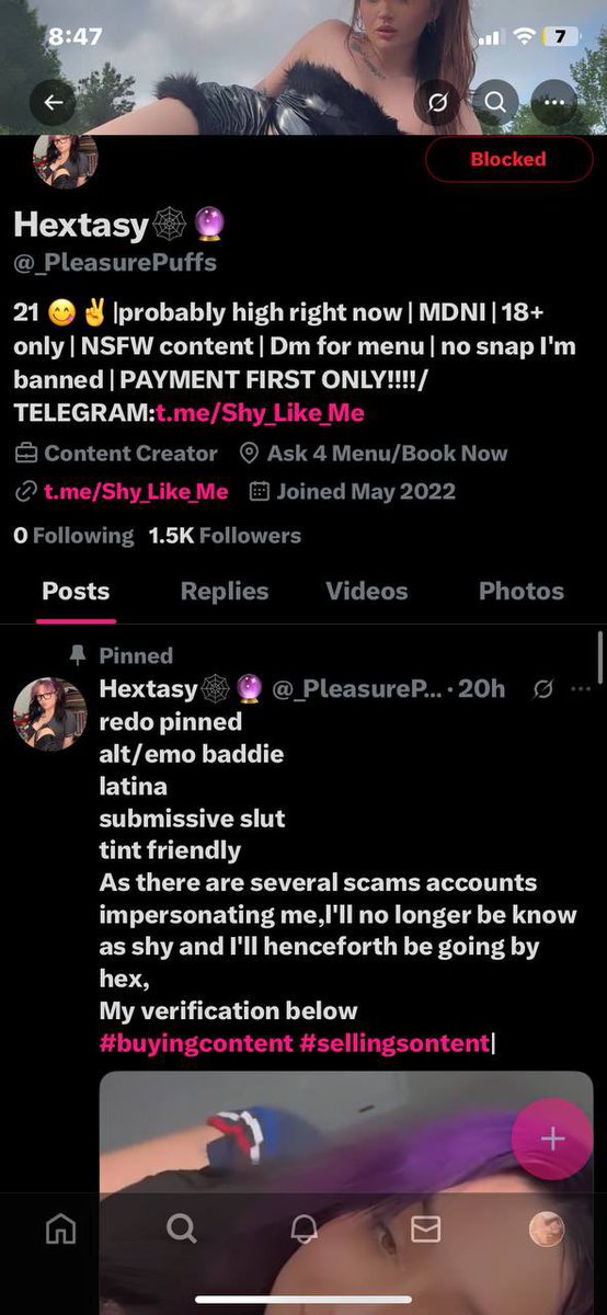 Hextasy 🕸️🔮 tweet media