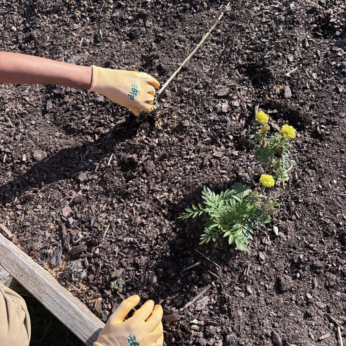 Antwanette Foncelle tweet media