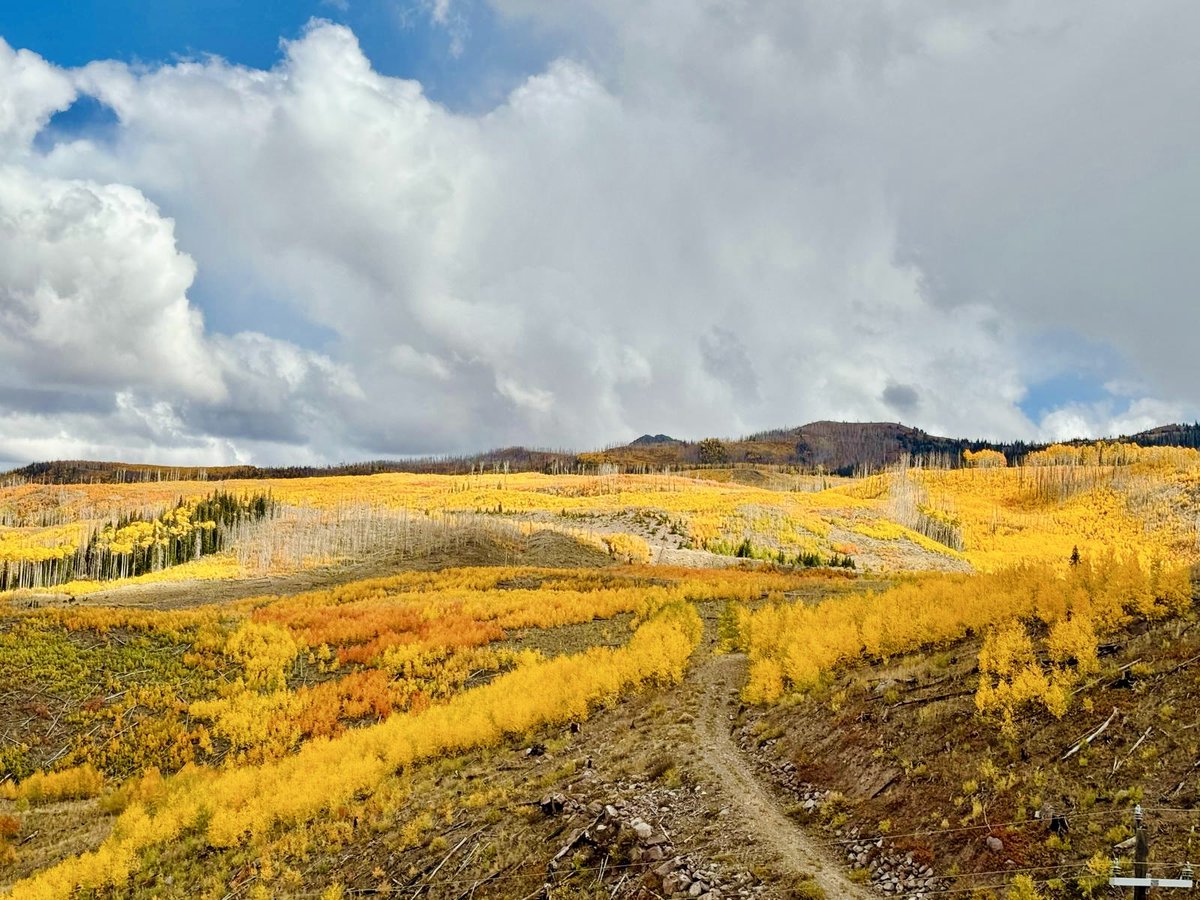 WOW! Plenty of color at Brianhead! Photo’s taken by my Mom who’s currently down there!! #utwx