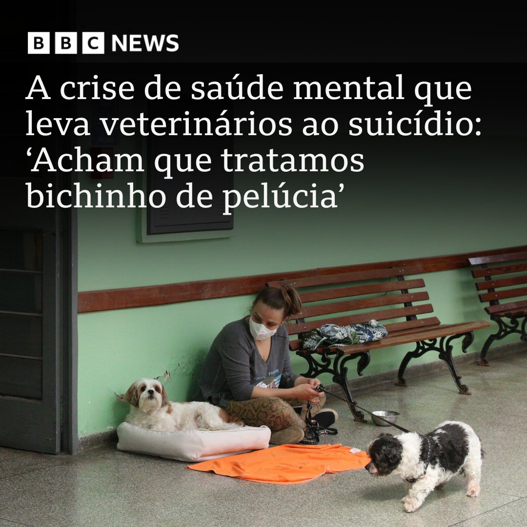 'Acham que a gente é santo e trata ursinho de pelúcia'

Estudos em diversos países têm mostrado que a ocorrência de suicídios entre veterinários é maior do que na população geral: bbc.in/4mzxQsS 

#ArquivoBBC