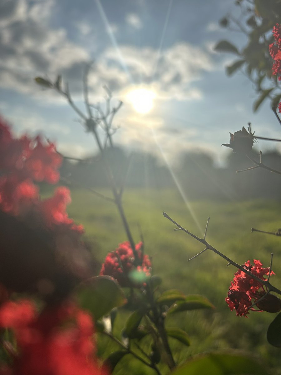 DarkScreen2000's tweet image. On a scale from 1 to 10, what would you rate these 2 pictures?