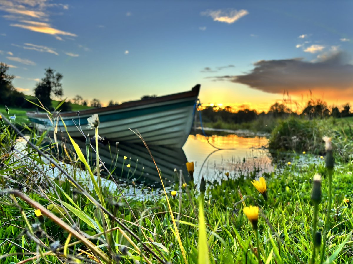 Laura Brown tweet media