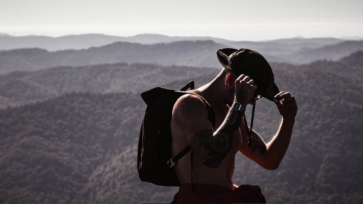 homo-graphy tweet media