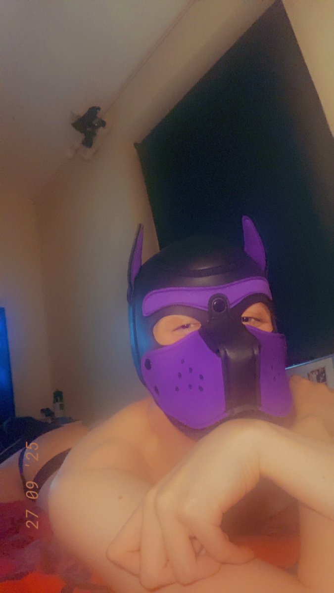 Anddddd what exactly do you think you’re looking at?!?

#gay #pup #pupplay #humanpup #furry #foxpup #fox #puppy