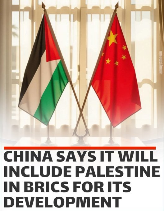 Naila Ayad🇵🇸 tweet media